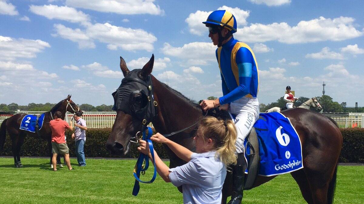 IN FRONT: Jason Collett rode Bjorn Baker's Forreel to victory at the Hawkesbury Race Club on Tuesday afternoon.
