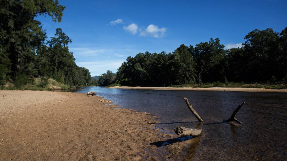 Navua Reserve, where the Grose River Bridge will be built. Picture: Geoff Jones