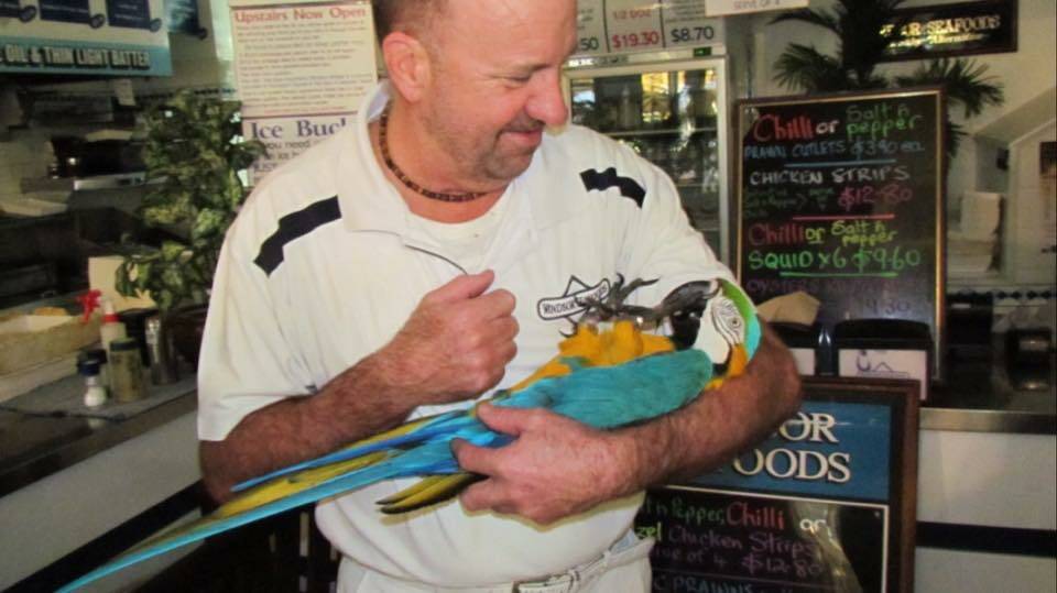 Barry Lane cradles his macaw Snappa at his business. Picture: Supplied