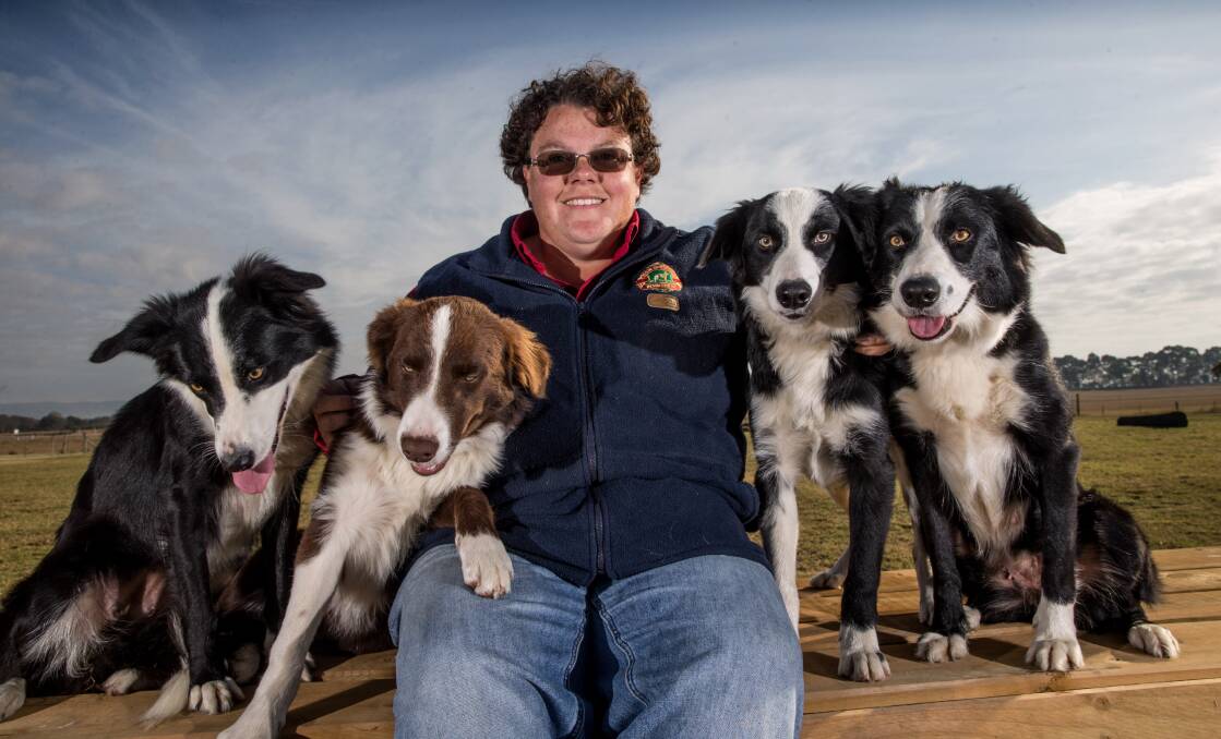 HARD WORKERS: Alison Burrell with her dogs Penny, Sam, Curly and Pippa, which will herd sheep during the next four days. Picture: Geoff Jones