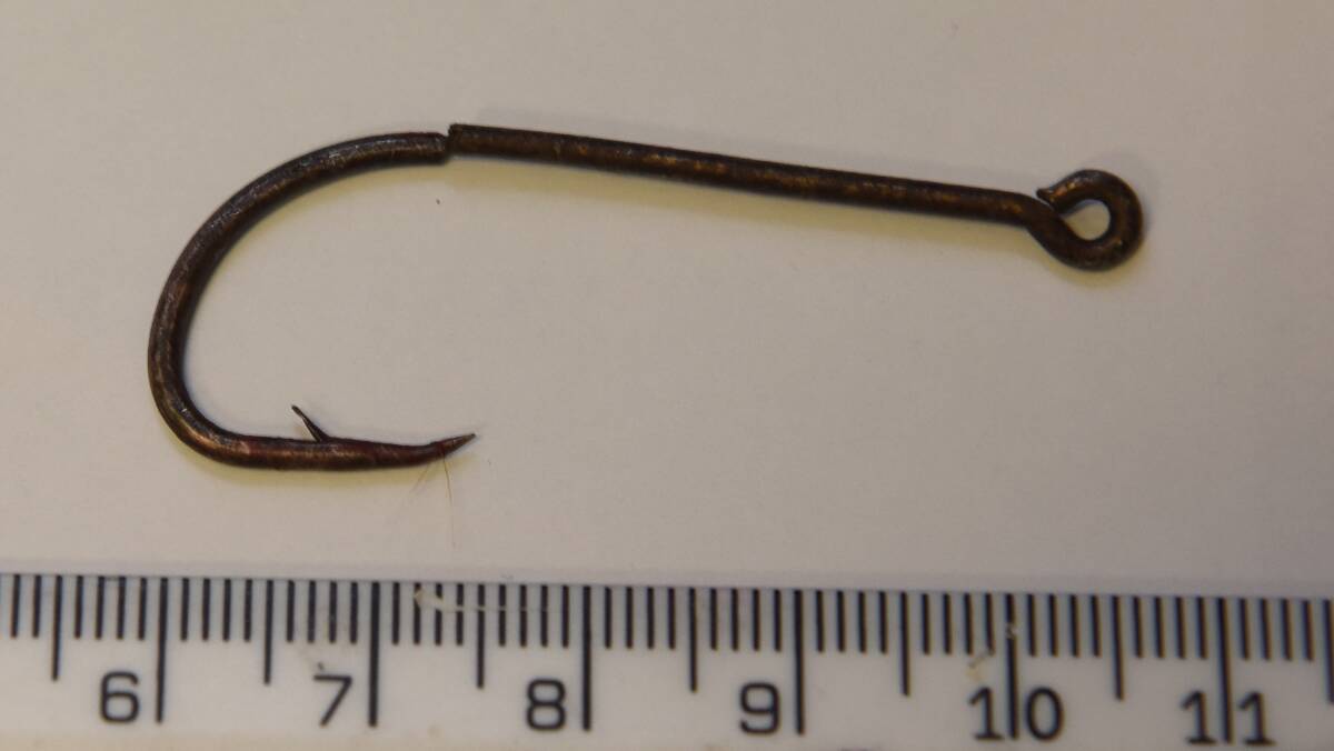 CAUGHT: A fish hook Dr Anne Quain removed from a dog's lip. Picture: Supplied