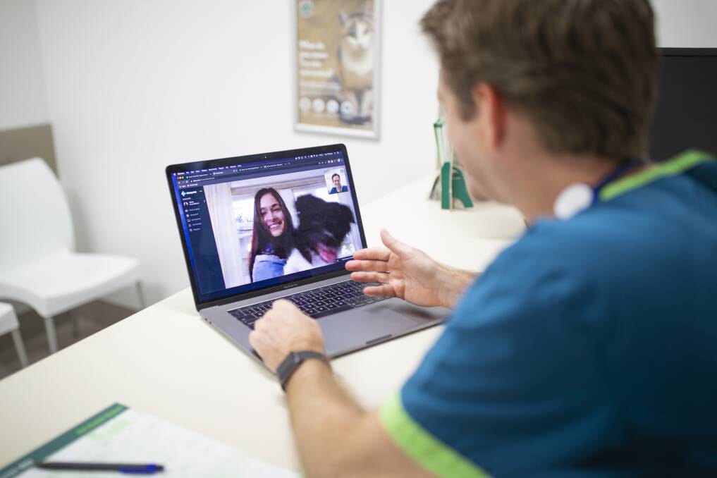 SAY AHHH: Virtual vet visits are on the rise among pet owners. Picture: Supplied