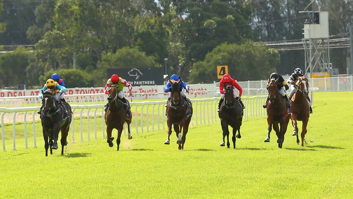 Stand Alone: HRC's TAB Stand Alone Saturday will take place this weekend at Hawkesbury Racecourse, Clarendon. Picture: Geoff Jones