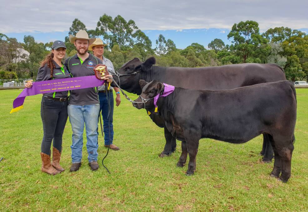 Castle Hill Show: Eliza Babazogli and Shannon Lawlor stand next to Ausbred Caribbean Pearl (calf) and Ausbred Bambi (Cow). They will be competing at the Royal Easter Show this weekend. Picture: Supplied