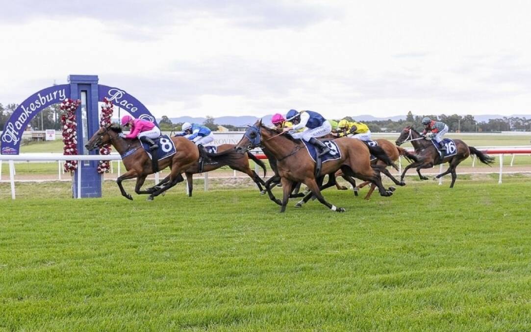All girls: Gwenda Maxwell's Gemmahra edges out local horses Diva Bella and Grace Bay at the 2021 Polytrack Provincial Championship Hawkesbury heat. Picture: Twitter.