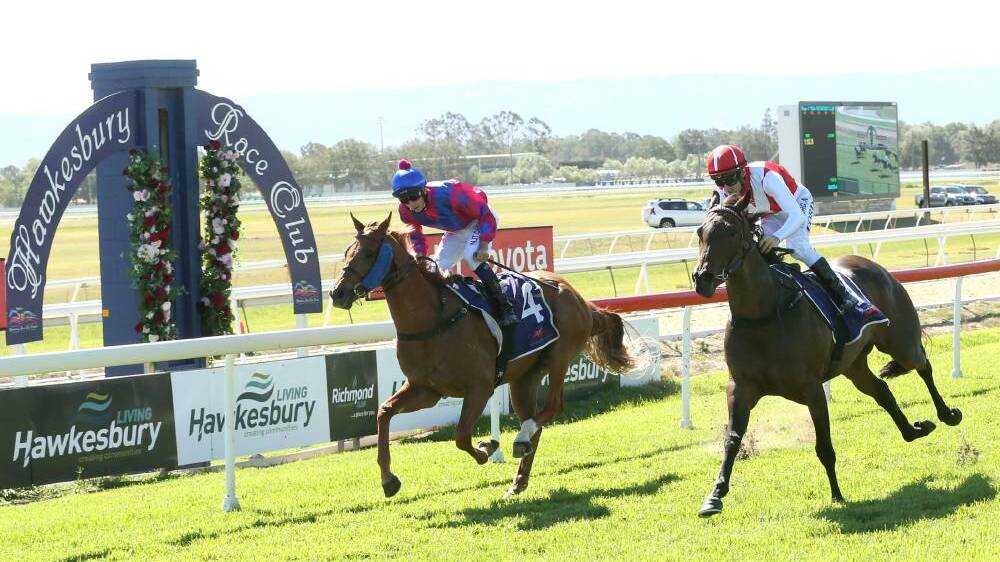 Edge ahead: The Kim Waugh-trained Sarah Elizabeth (ridden by Jay Ford), edged just in front of Budhwar, trained by Hawkesbury's Brooke Somerat last years Ladies Day. Picture: Geoff Jones.
