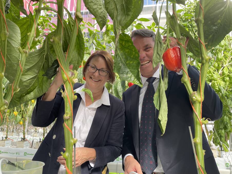 Macquarie MP Susan Templeman and Deputy Prime Minister Richard Marles at Western Sydney Universitys Agri Tech Hub. Picture supplied.