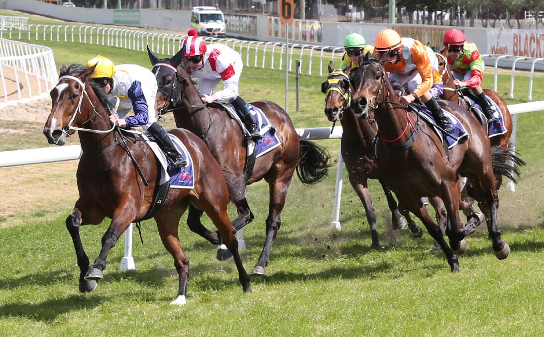 Top three: The Pink Finss Charity race winner, Pacific Legend (red), along with second and third place, Foxy Rocket (orange) and Lady Tavista (yellow) round the bend. Picture: Geoff Jones