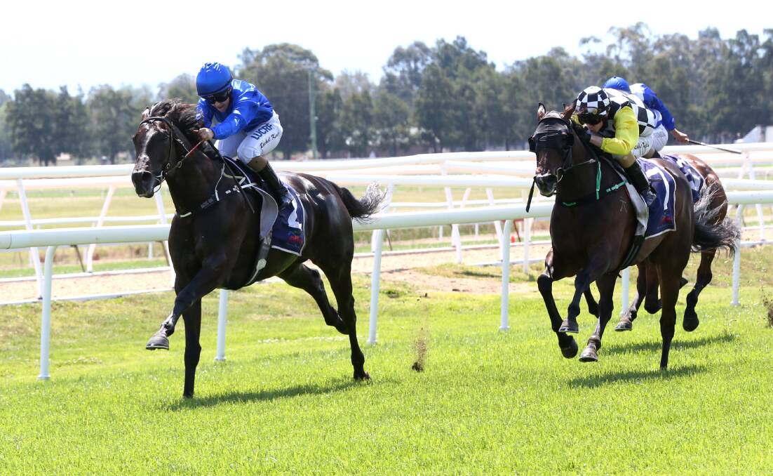 Premiership: Rachel King riding Suave to a win at Hawkesbury Races Club on October 24, 2019. Picture: Geoff Jones.