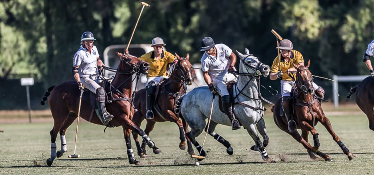 Return: Windsor Polo Club's spring season is in full swing in October with tournaments every week. Picture: Supplied
