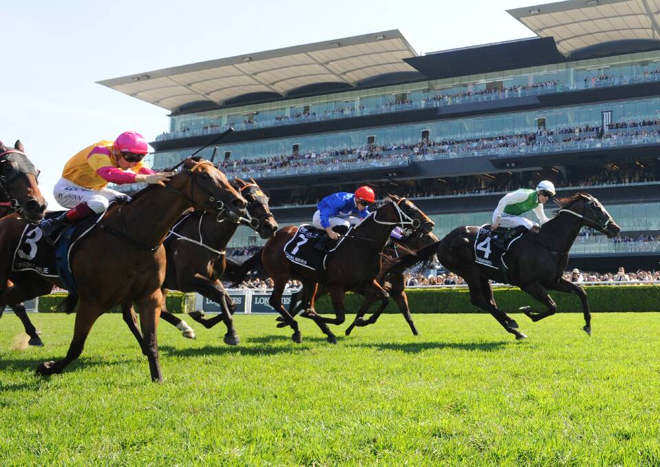 Provincial Champion: Bernie Kelly trained gelding, Bobbing (green), leads the pack as he took out the top spot at the Polytrack Provincial Championships Final at Royal Randwick on Saturday, April 13. Picture: Simon Bullard