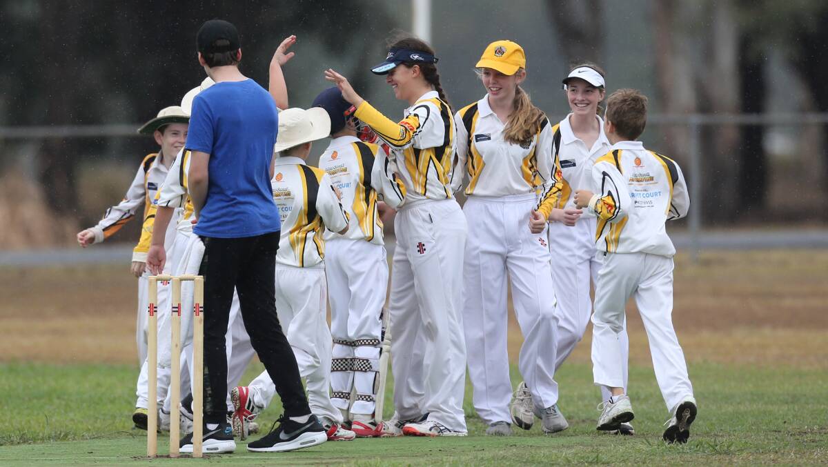 Local club: Pitt Town Sports Wildcats celebrate a wicket in the HDCA Junior Cricket at Vineyard Park. Picture: Geoff Jones.