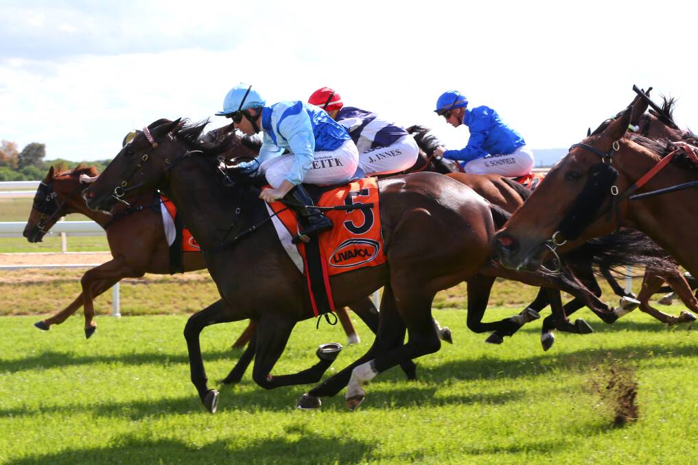Racing returns: Action from Ladies Day November 8, 2018 at the Hawkesbury Races. Picture: Geoff Jones