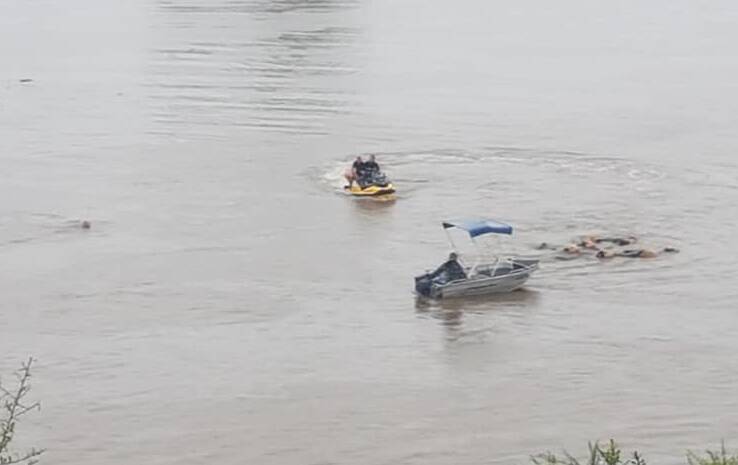A boat, jet ski and trailing swimmers herd the nine stranded cattle to safety from the floods on Terrace Rd, North Richmond. Picture: William Potter.