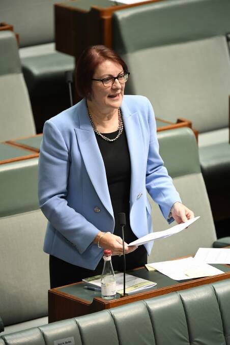 Maquarie MP Susan Templeman talking in Federal Parliament on Wednesday, May 12.