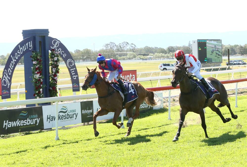 Edge ahead: The Kim Waugh-trained Sarah Elizabeth (ridden by Jay Ford), edged just in front of Budhwar, trained by Hawkesbury's Brooke Somers and ridden by Jean Van Overmeire. Picture: Geoff Jones. 