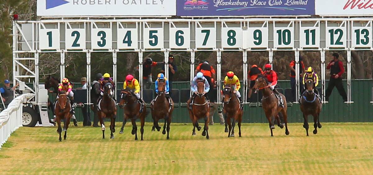 The start: Hawkesbury's 2019 racing action will begin with a double header at Clarendon Racecourse, including the Polytrack Provincial Qualifier. Picture Geoff Jones.
