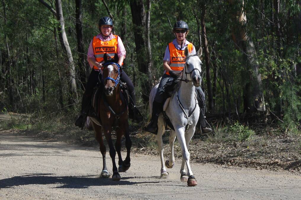 Two riders on the track during the 2018 Mountain Lagoon Endurance Ride. Picture: Animal Focus