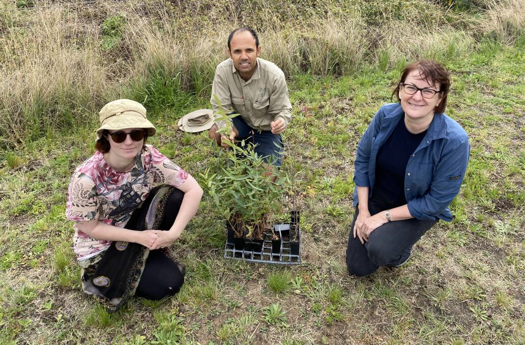 Sara Judge, Martin Gauci and Susan Templeman with some of the trees planted at Yarramundi Reserve. Picture: Supplied.