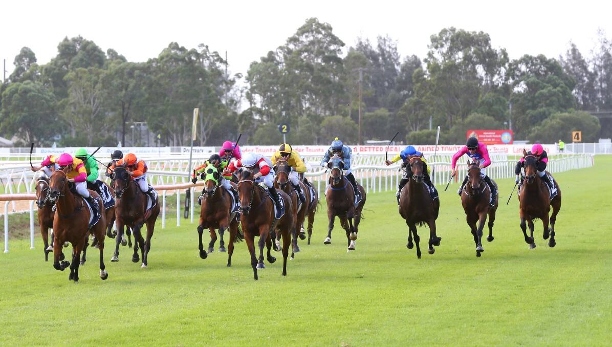 Local heat: The 2019 Polytrack Provincial Championship at Hawkesbury, won by Safado. Picture: Geoff Jones.