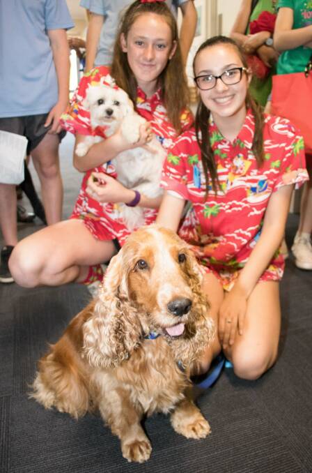 FURRY SMILES: Richmond High School Choir student Erin Graham with Nepean therapy dog, Miley and Ellen Pilkington with Henry. Pictures: Kerrie Powers