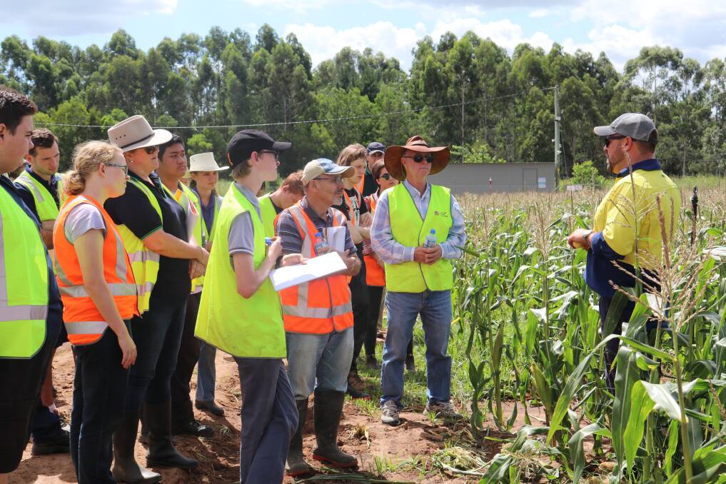 Corn talks in cornstalks: Greater Sydney Local Land Services mixed farming officer Peter Conasch goes over the compost trial results with farmers and WSU ag students. Pictures: Nikki McGrath
