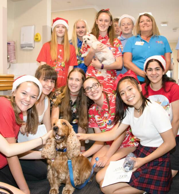 Students meet Henry the cocker spaniel and Miley the Maltese, both Nepean therapy dogs.