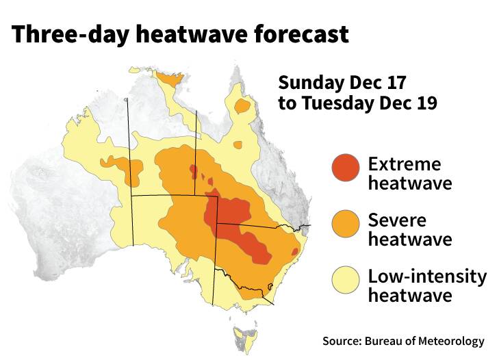 Fire risk and health impacts alerts as Sydney heatwave sweeps in