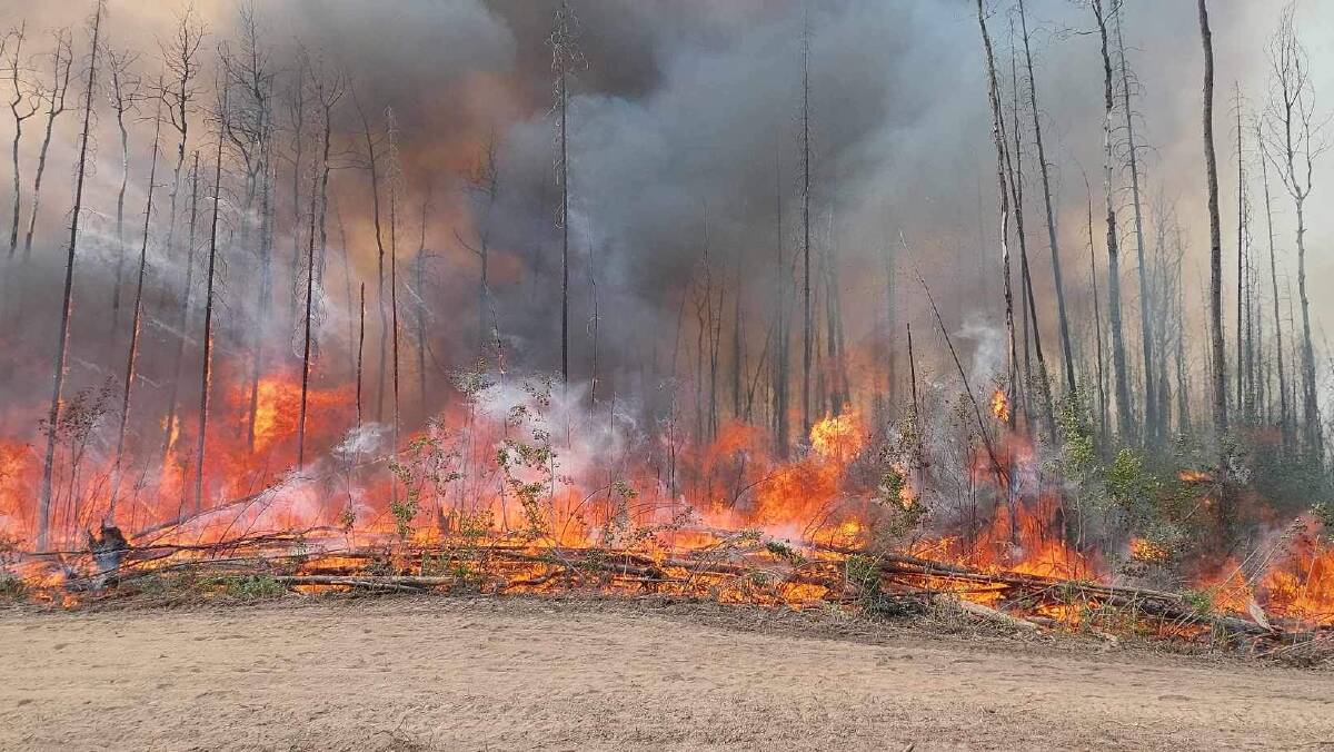 The wildfire at Bassett, 13 km north west of the of Paddle Prairie Metis Settlement boundary marker, where the Haig River meets the Chinchaga River. Picture supplied.