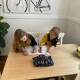 Twins Romy and Hudson, 8, get started on their mascot designs for honesty as part of the Kind Kids Design a Mascot competition. Scan the QR code to enter. Picture supplied