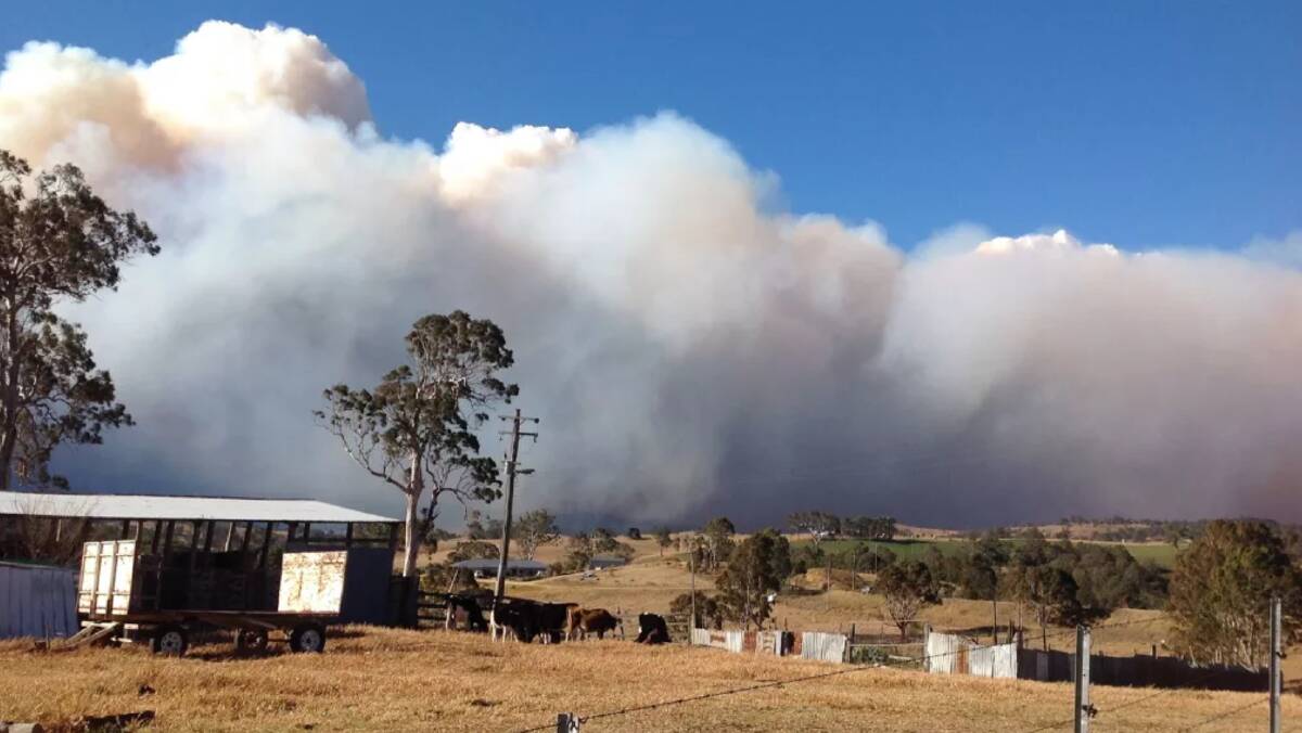 A 300-hectare fire burns out of control at Bemboka. Photo: Elaine Bateman