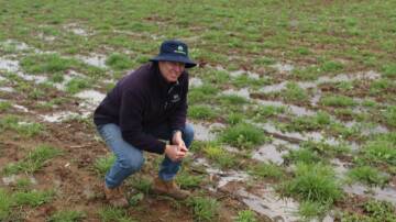 NO GO: Peter Yelland, principal at YellCo Ag, said this 365-hectare paddock was programmed for wheat this year but it is unlikely it will be sown due to being waterlogged. Photo: Denis Howard
