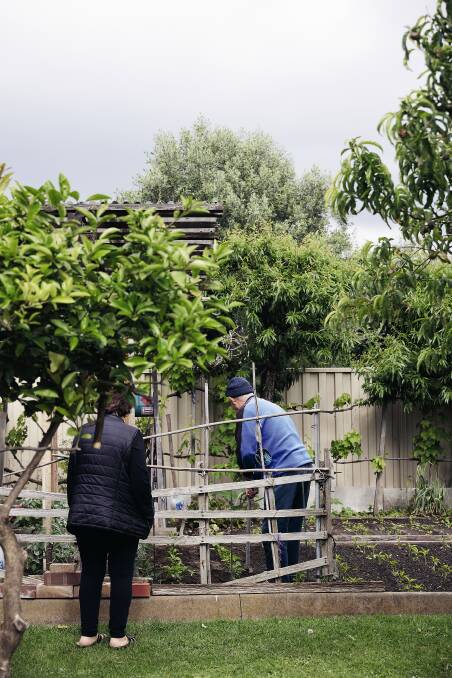 Yiayia and Pappou in their Melbourne Garden. Picture: Mark Roper 
