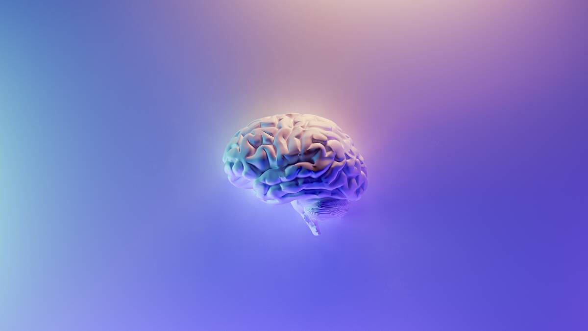 Brain activity studied during MDMA and magic mushroom use