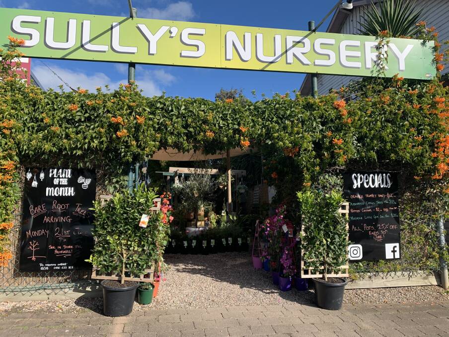 Door to door: Sully's Nursery at 521 Bells Line of Road, Kurmond, has been delivering plants to locals during the pandemic. Pictures: Supplied
