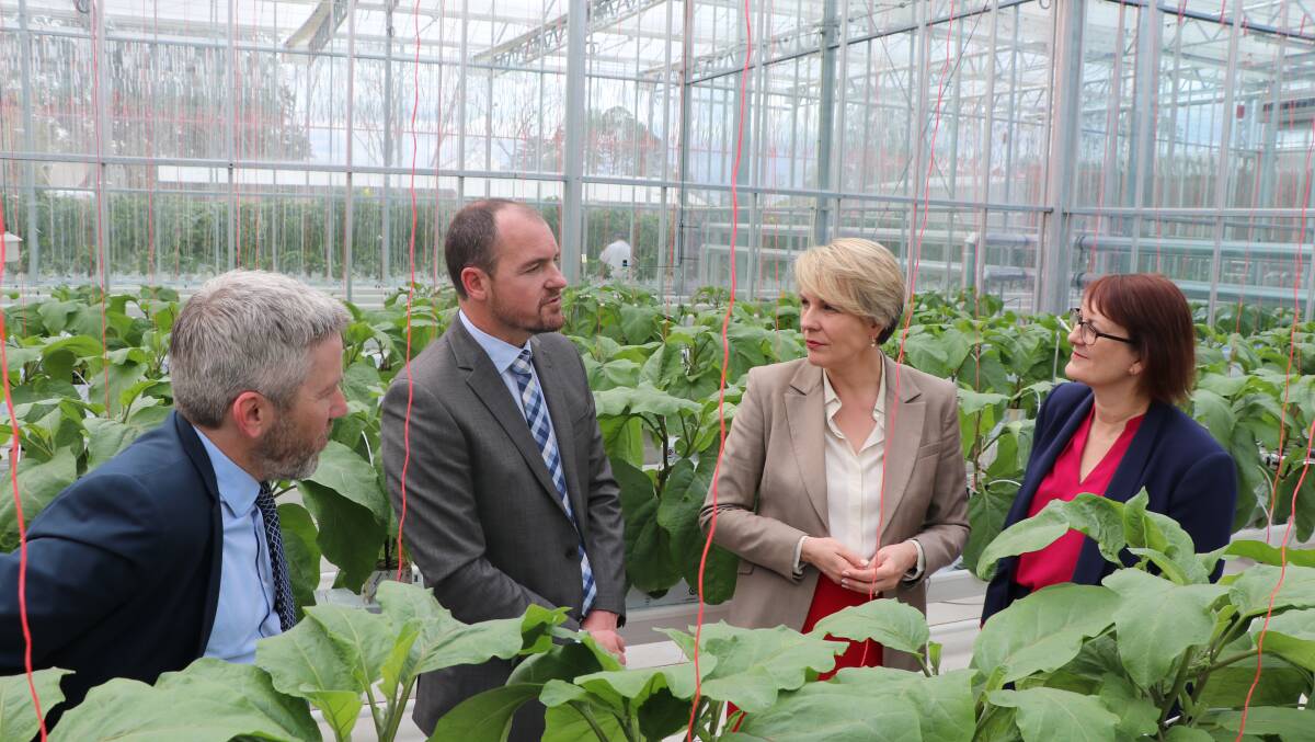 WSU assistant vice-chancellor Dr Andy Marks, Ian Anderson - Director Hawkesbury Institute for the Environment, the Hon. Tanya Plibersek MP Acting Leader of the Opposition, Susan Templeman MP – Federal member for Macquarie. Picture: Supplied