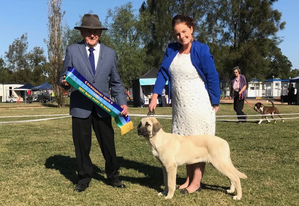 BEST IN SHOW: Tribocie Kamikaze of Fujin (aka 'Kami'), five months old, won Best Baby in Show at the Hawkesbury Show. Picture: Supplied