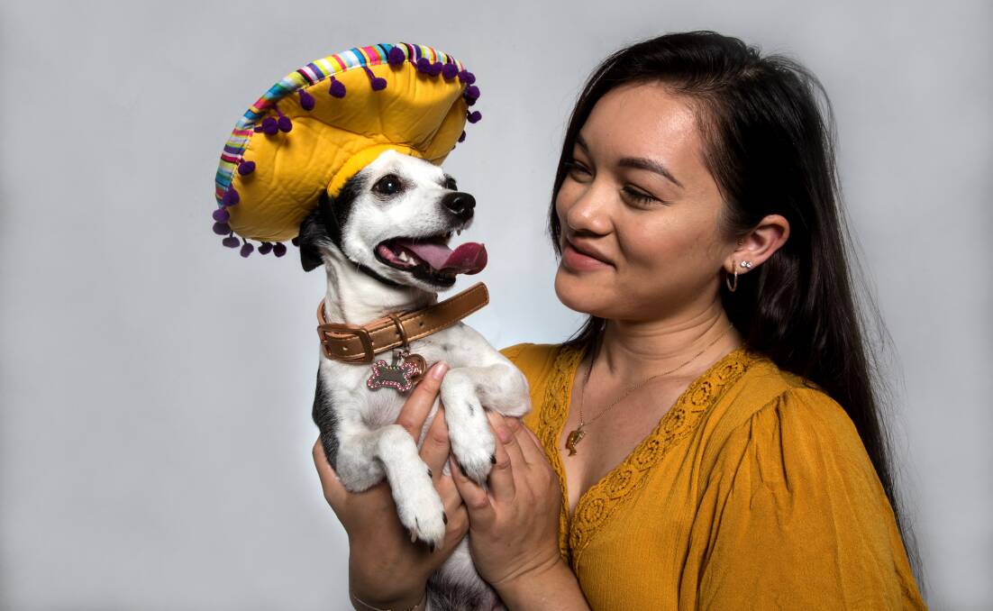 Best friends: Annalise Nagy and Pixie the jack russell terrier, miniature fox terrier and chihuahua mix, who sadly passed away at 12 years old. Annalise had her cremated so she could keep her close. Picture: Geoff Jones