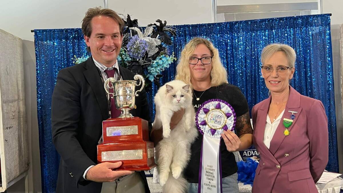 Jessica Woodrow with her award-winning ragdoll at the recent Sydney Royal. Picture: Supplied