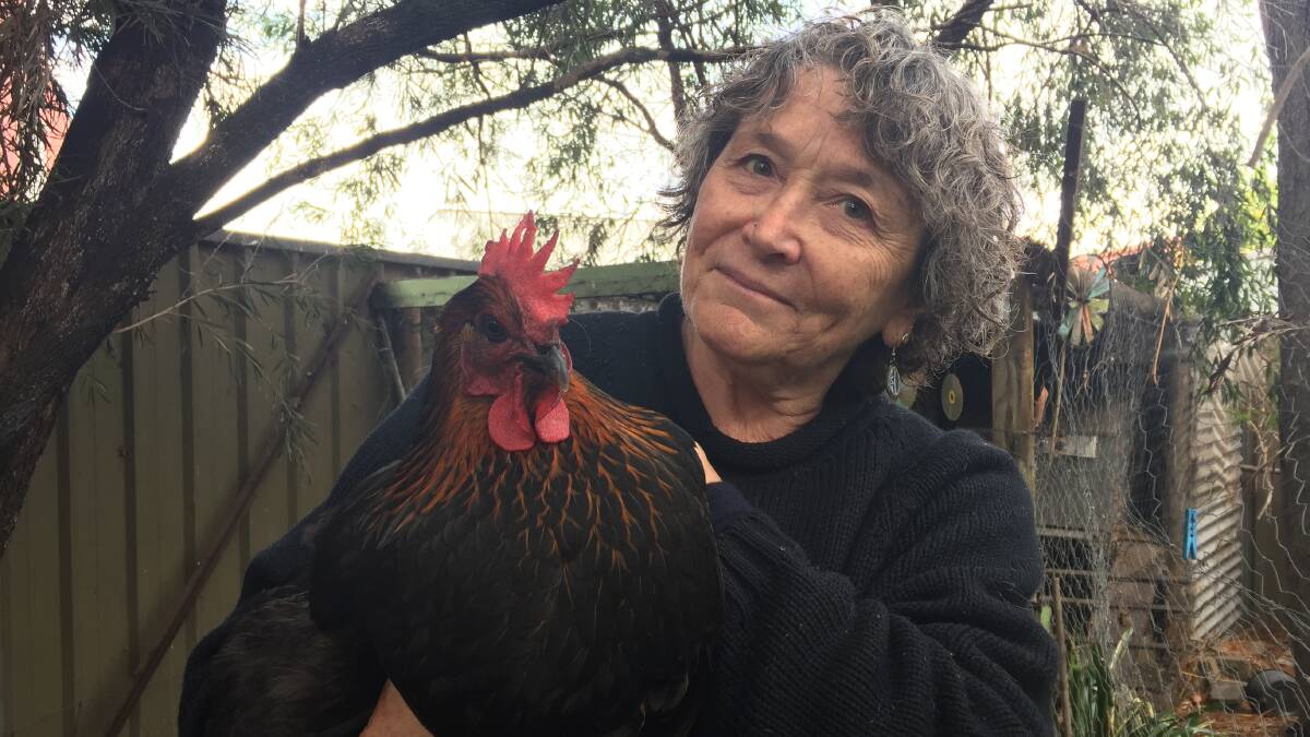 CONTAMINATION: Richmond resident Joanna Pickford has been told it is not safe to eat her chickens' eggs. Picture: Sarah Falson
