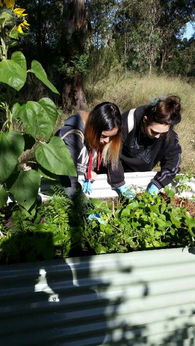 OUTDOOR LESSONS: Gardening is one of the alternative subjects offered at Eagle Arts & Vocational College in Bligh Park.