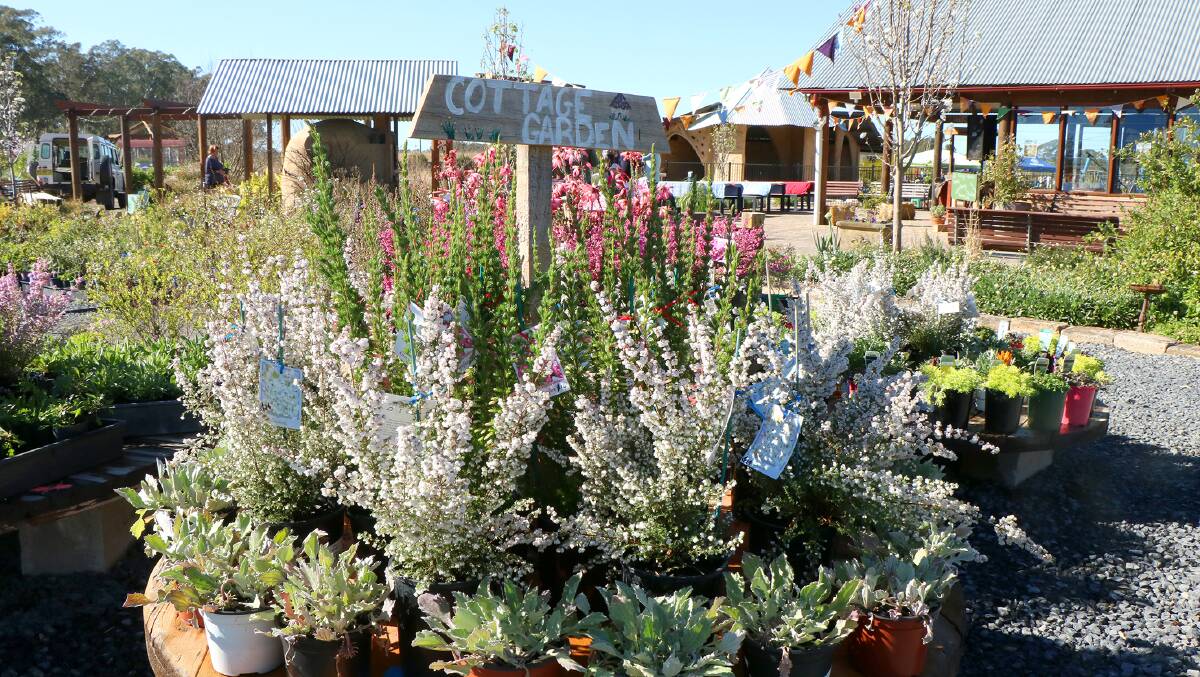 NURSERY SALE: There will be plants galore for sale at the Autumn Fair. Picture: Supplied