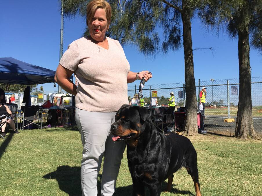 Lisa Wallace of Wilberforce with a piece of cabanossi in her mouth for Red the Rottweiler. Picture: Sarah Falson