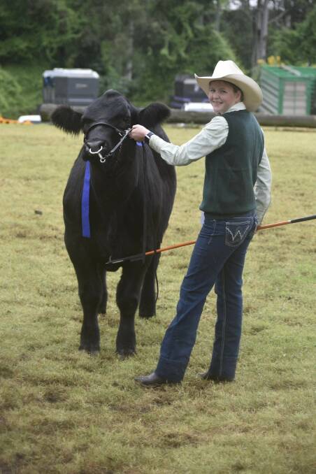 Brooke Chandler from North Richmond showing one of her Limousin cattle at the Castle Hill Show. Picture supplied