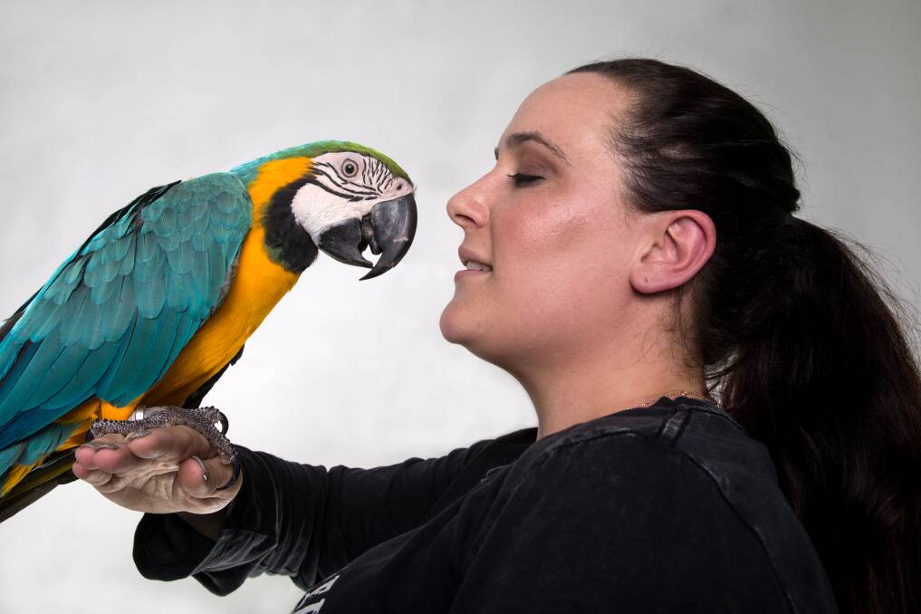 Bonded for life: Melanie Jobse with her feathered baby, Phoenix the blue and gold female macaw, who likes to sit on the lounge and watch television with her canine brothers and sisters. Picture: Geoff Jones