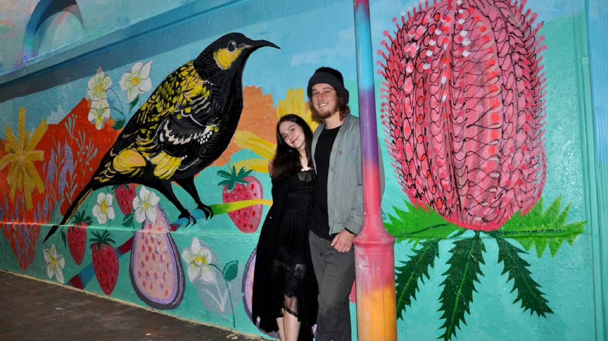 Brother and system team - artists Noni and David Cragg who painted the Windsor Mall mural - featuring pollinators, beauty and abundance. Picture: Supplied