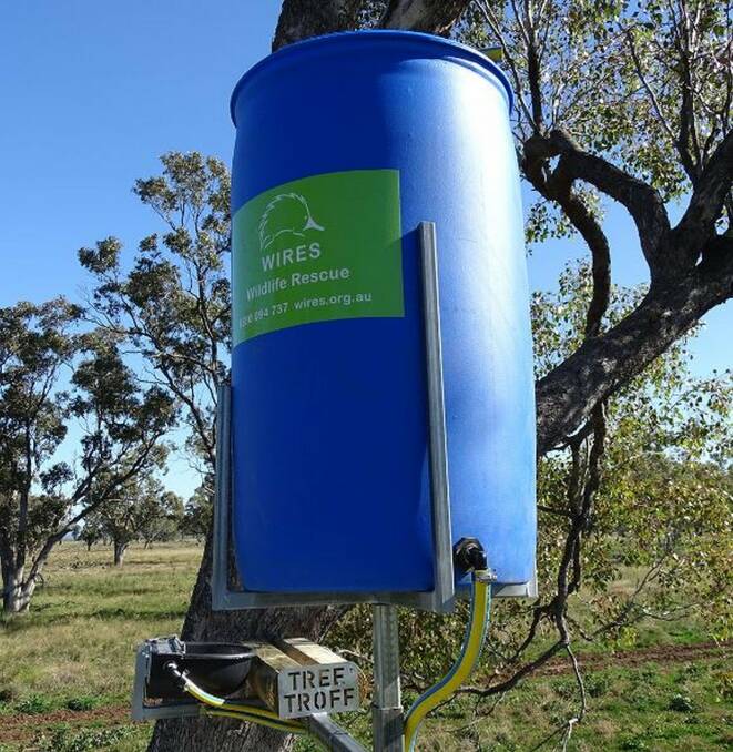 Conservation efforts: The Tree Troff drinking stations will be used to supplement water intake by koalas and other wildlife during dry seasons. Picture: Supplied