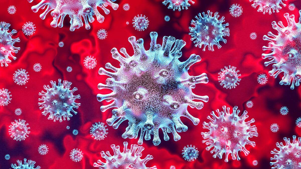 There have been confirmed cases of coronavirus (COVID-19) in the Hawkesbury and the Blue Mountains. Picture: Shutterstock