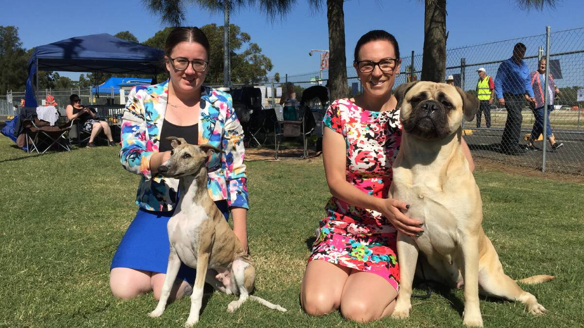 Hawkesbury residents Andrenina Youle with Finn the Whippet and Brooke Turner with Indi the Bullmastiff. Picture: Sarah Falson