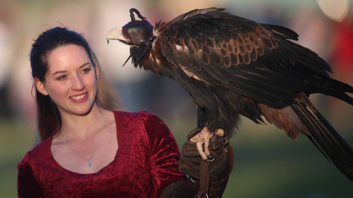 FALCONRY: Jade Dickinson from Full Flight Birds of Prey Centre with Sorrow the wedge-tailed eagle. Picture: Geoff Jones